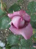 20000101_053328
