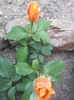 20000101_053457