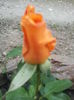 20000101_053508