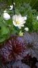 WP_20160507_009