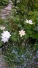 WP_20160508_004