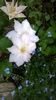 WP_20160508_006
