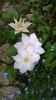 WP_20160508_007