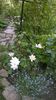 WP_20160508_009