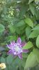 WP_20160508_010