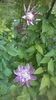 WP_20160508_014