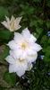 WP_20160508_022