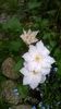 WP_20160508_023