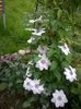 WP_20160508_027