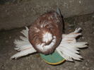 DSCN0913