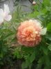 20160508_112516