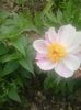 20160508_112521