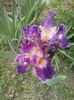 20160506_135358