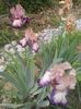 20160506_135402