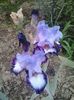 20160506_200320