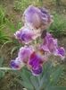 20160508_100759
