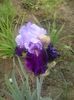 20160508_100806