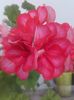 20160509_111026