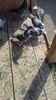 IMG-20160509-WA0006