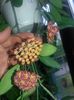 20160509_161334