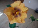 P1260443