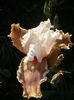 P1260456