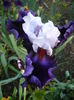 P1260457