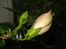 DSC05327