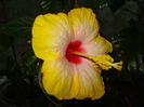 DSC05338