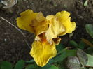 DSC06677