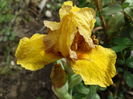 DSC06678