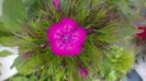 WP_20160507_12_58_44_Pro