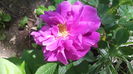 IMG_20160423_135357