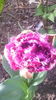 IMG_20160407_083815