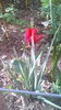 IMG_20160407_083737