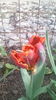 IMG_20160407_082928