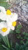 IMG_20160407_082935
