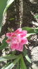 IMG_20160402_135525