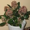 img_articol22047