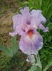 20160509_160813