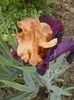 20160509_160925