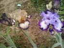 20160509_160952