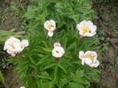 20160509_160740