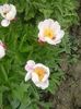 20160509_160746
