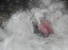 IMG_20160510_110116