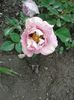 20160510_113821