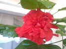 20130801_142921