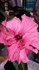 20150223_140320