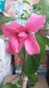 20150226_075854