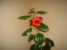 DSC04549